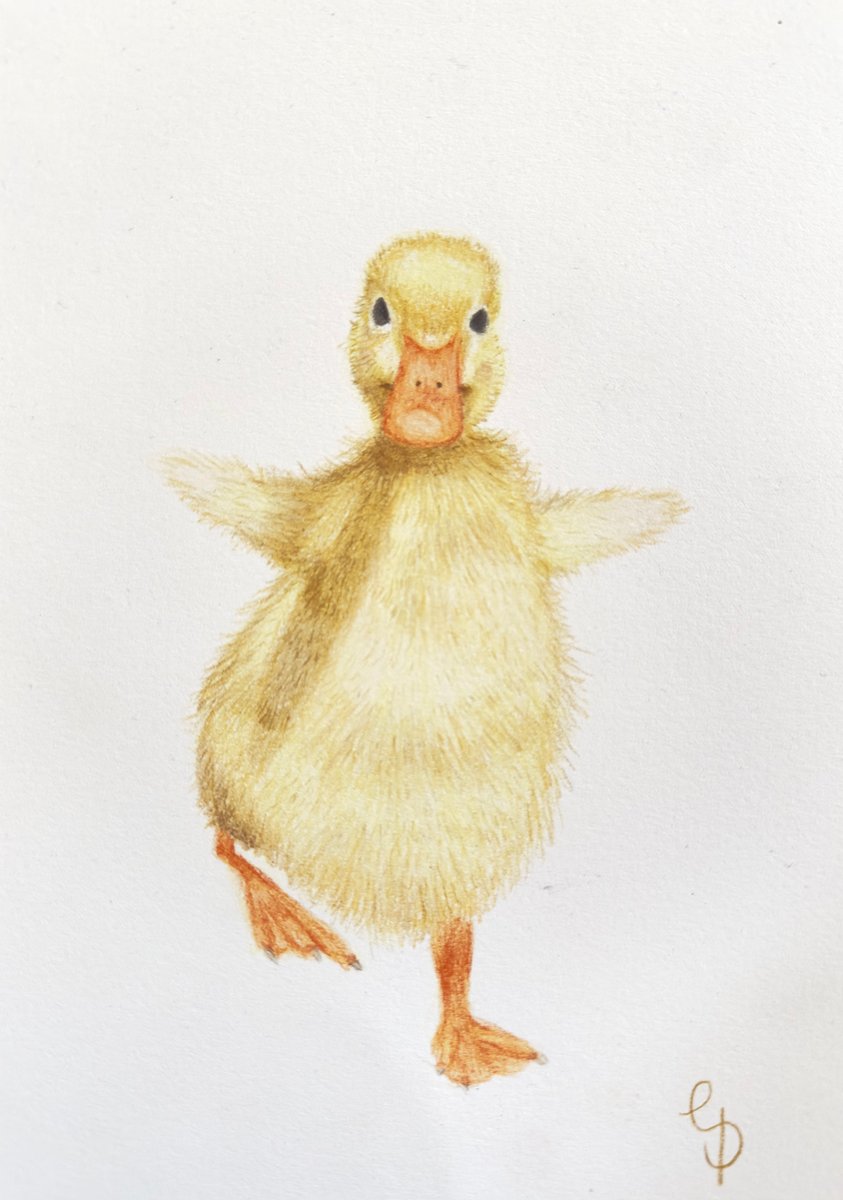 A drawing of a spring chick waddling.